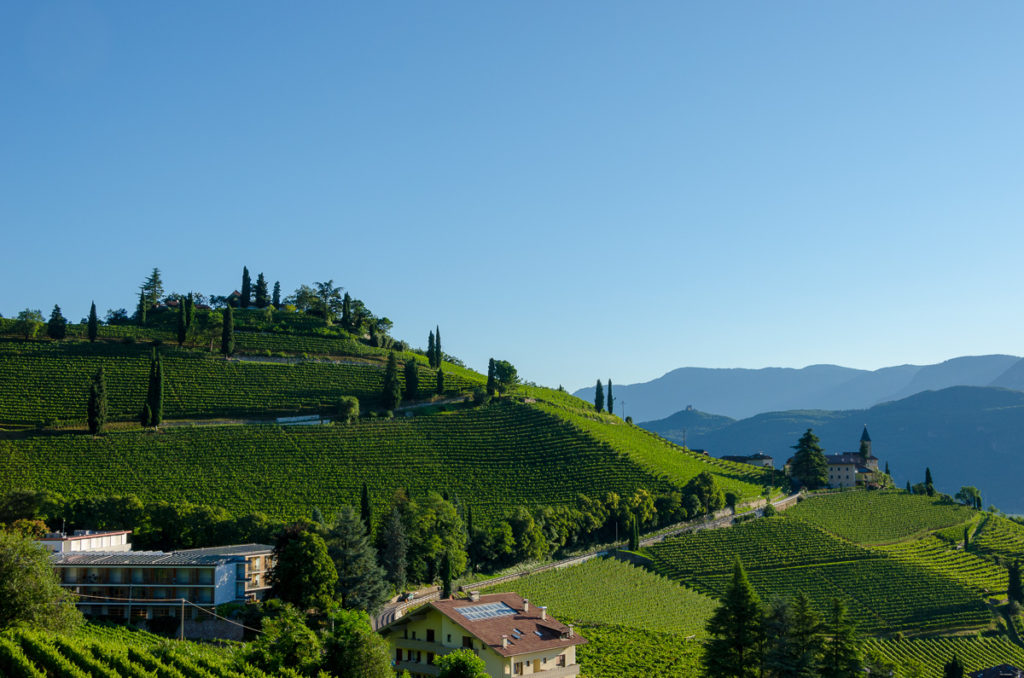 Weinberg Kastelaz Bei Tramin Die Südtiroler Und Das Alpenland Südtirol